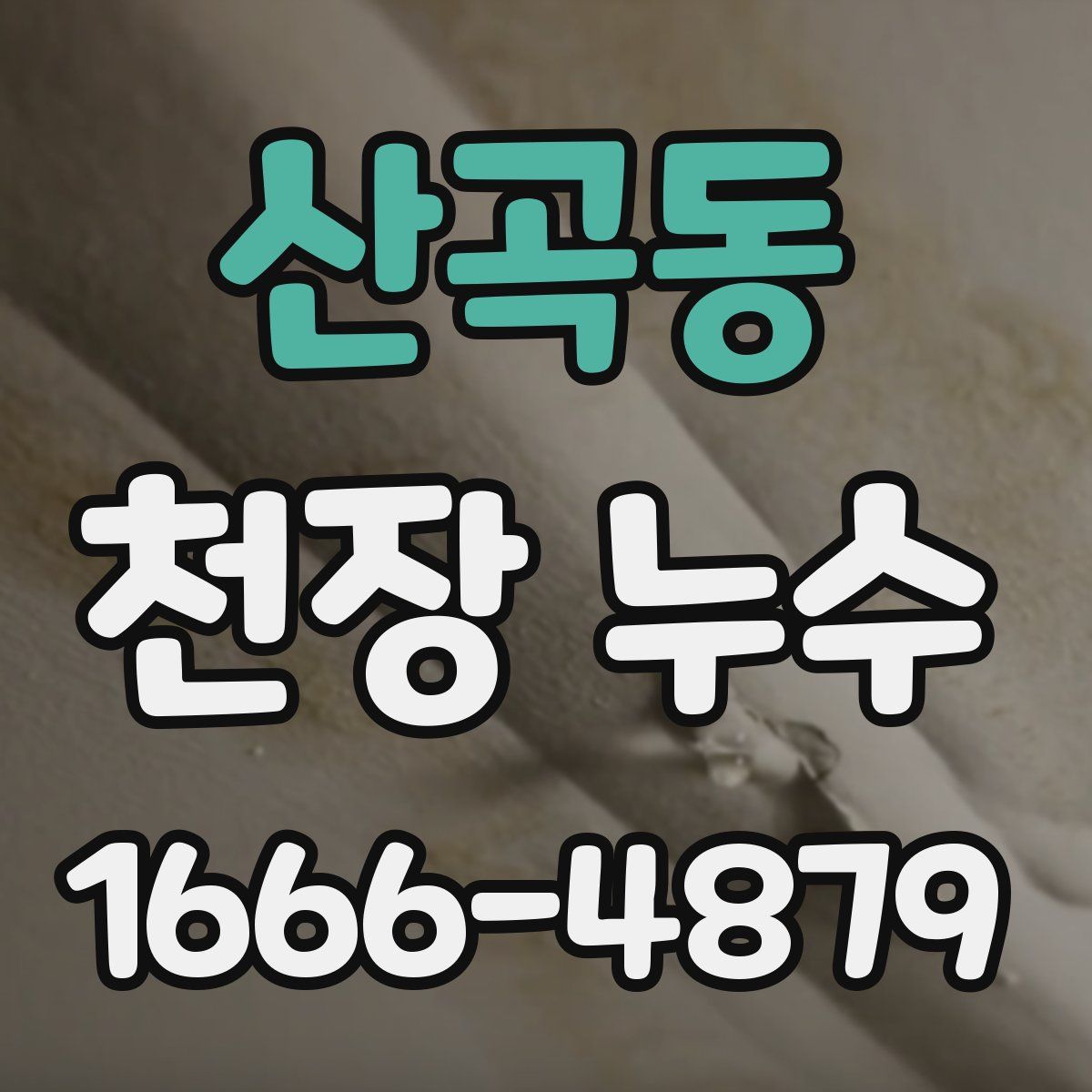 산곡동 천장 누수