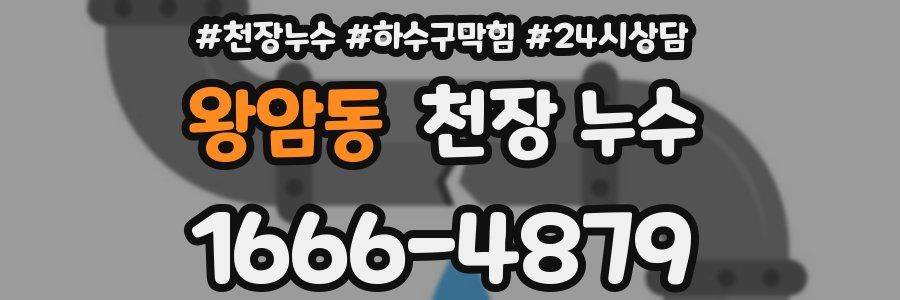 왕암동 천장 누수