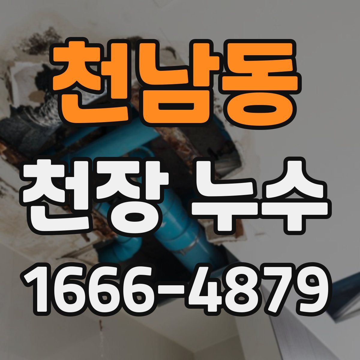 천남동 천장 누수