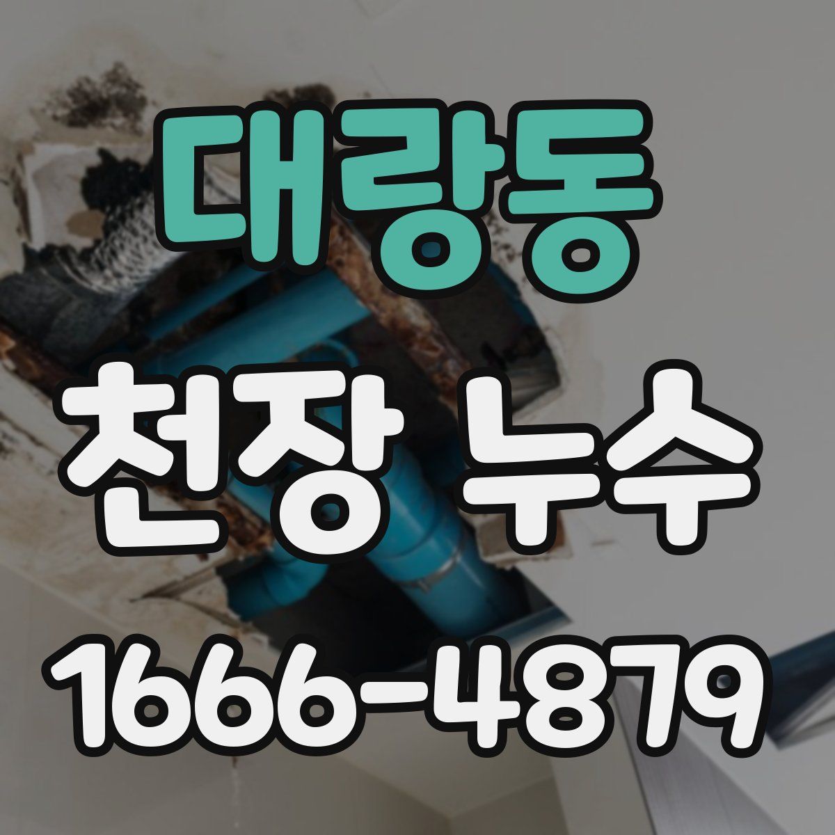 대랑동 천장 누수