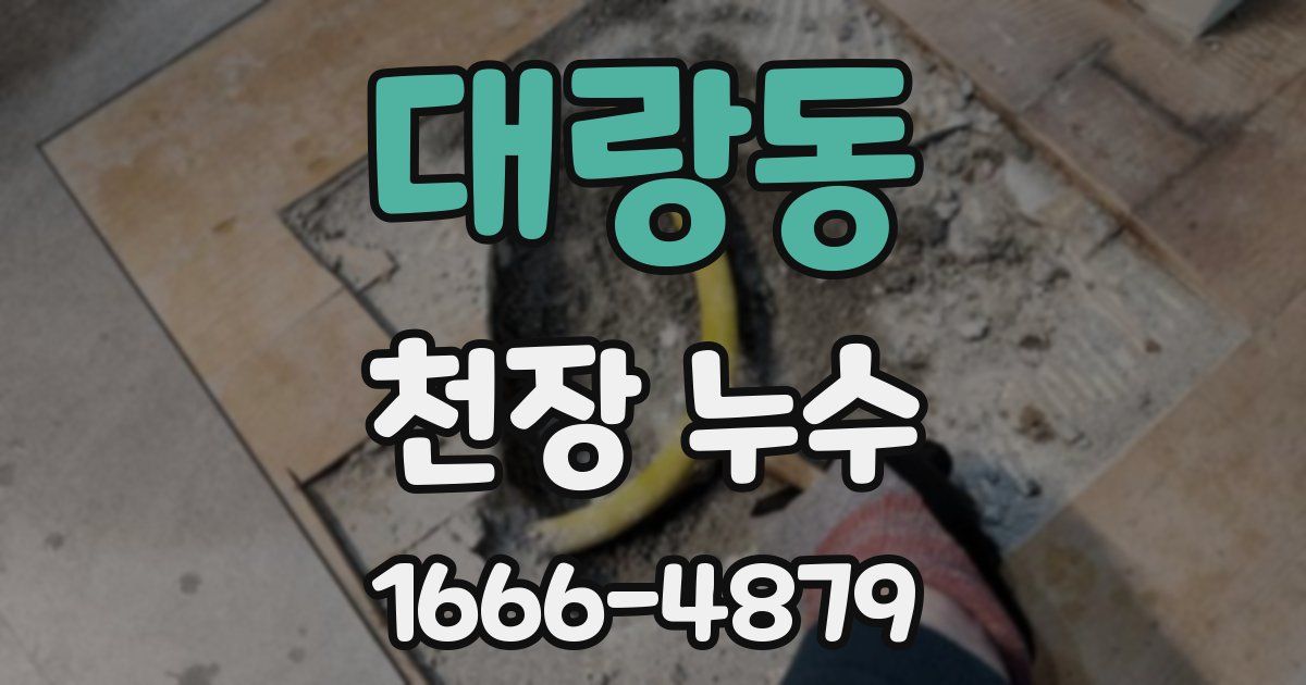 대랑동 천장 누수