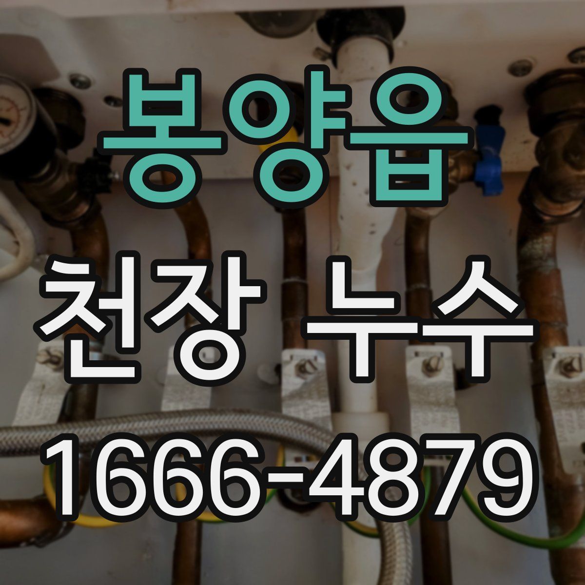 봉양읍 천장 누수