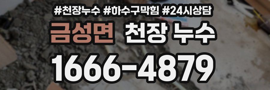 금성면 천장 누수