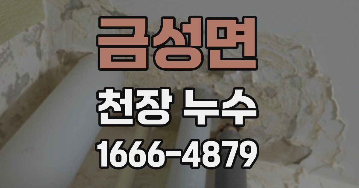 금성면 천장 누수