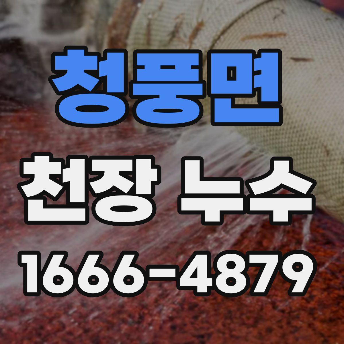 청풍면 천장 누수