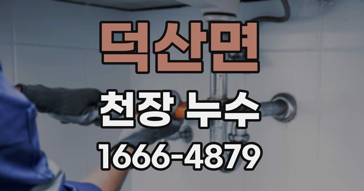 덕산면 천장 누수