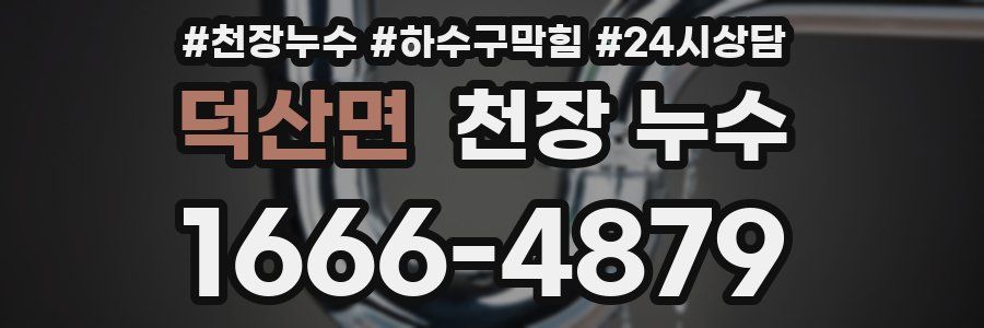 덕산면 천장 누수