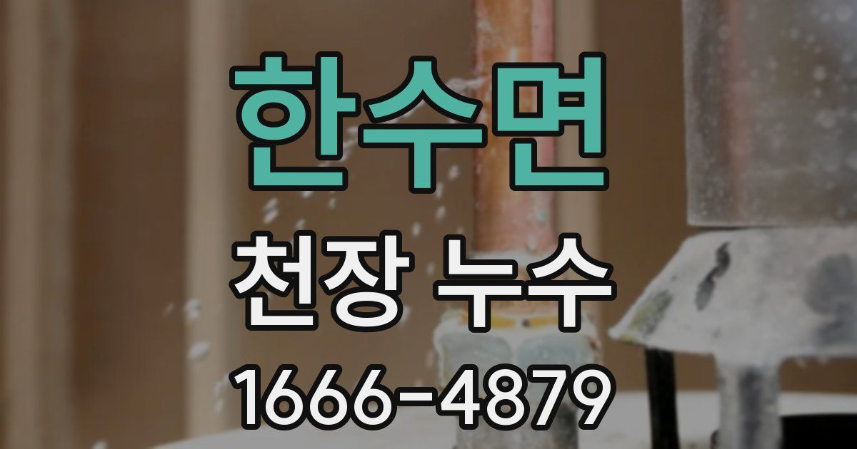 한수면 천장 누수