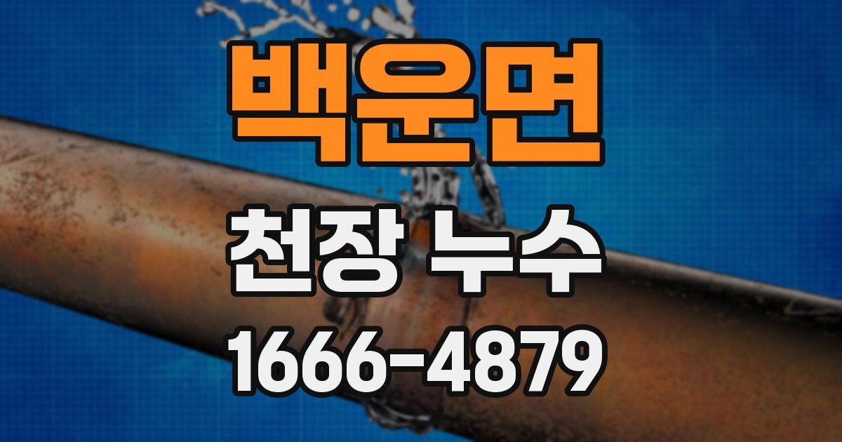 백운면 천장 누수