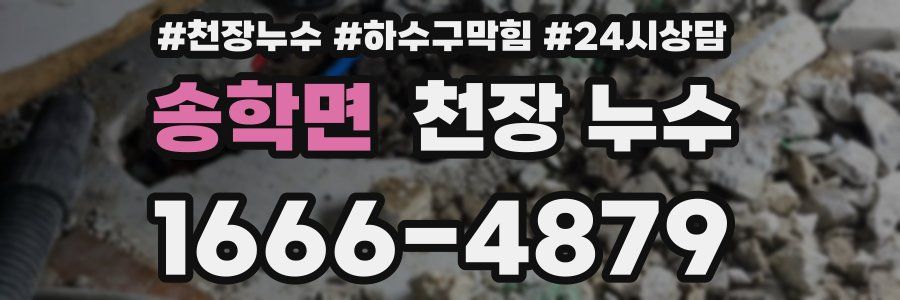 송학면 천장 누수