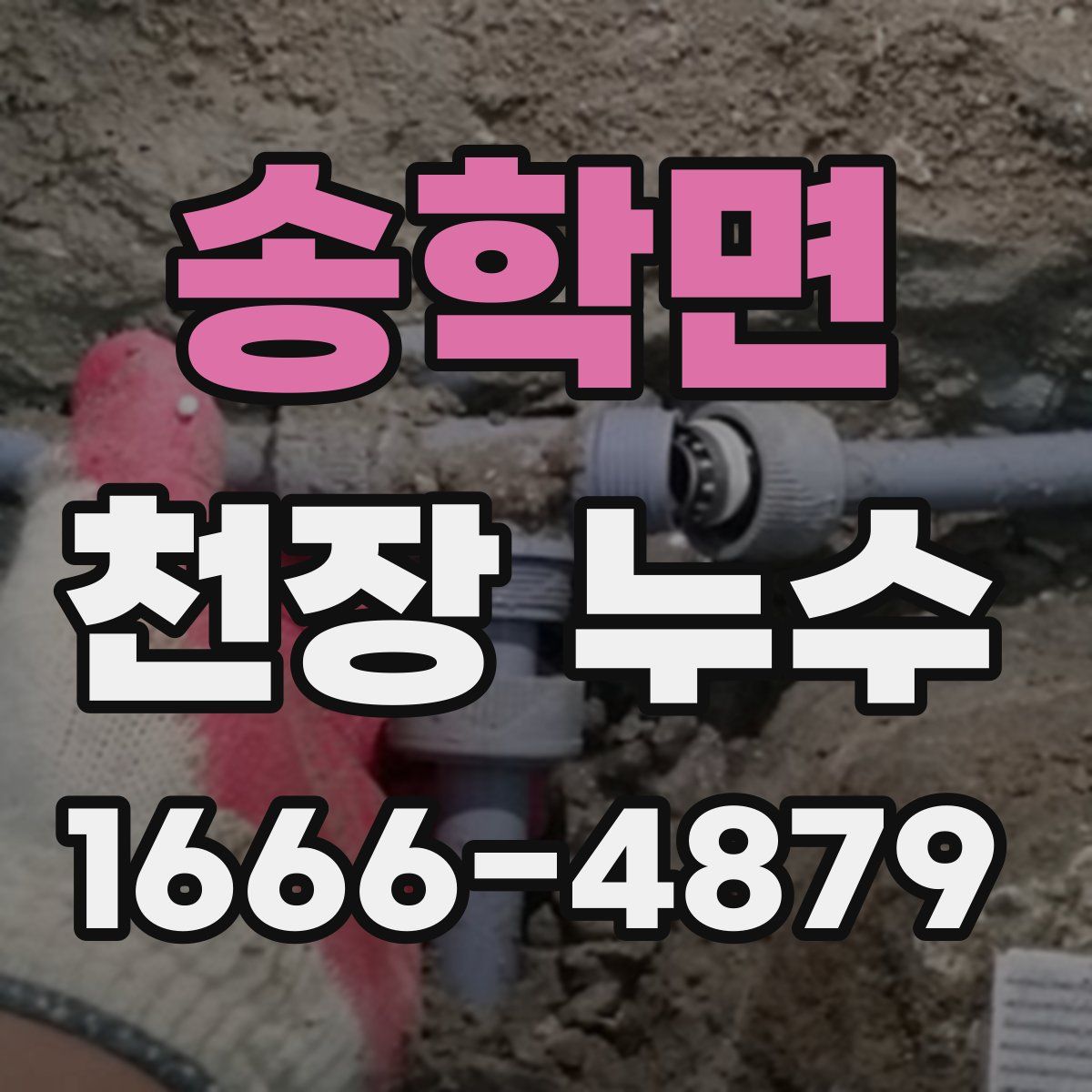 송학면 천장 누수