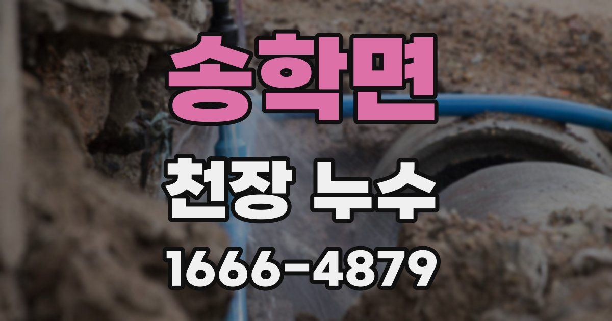 송학면 천장 누수