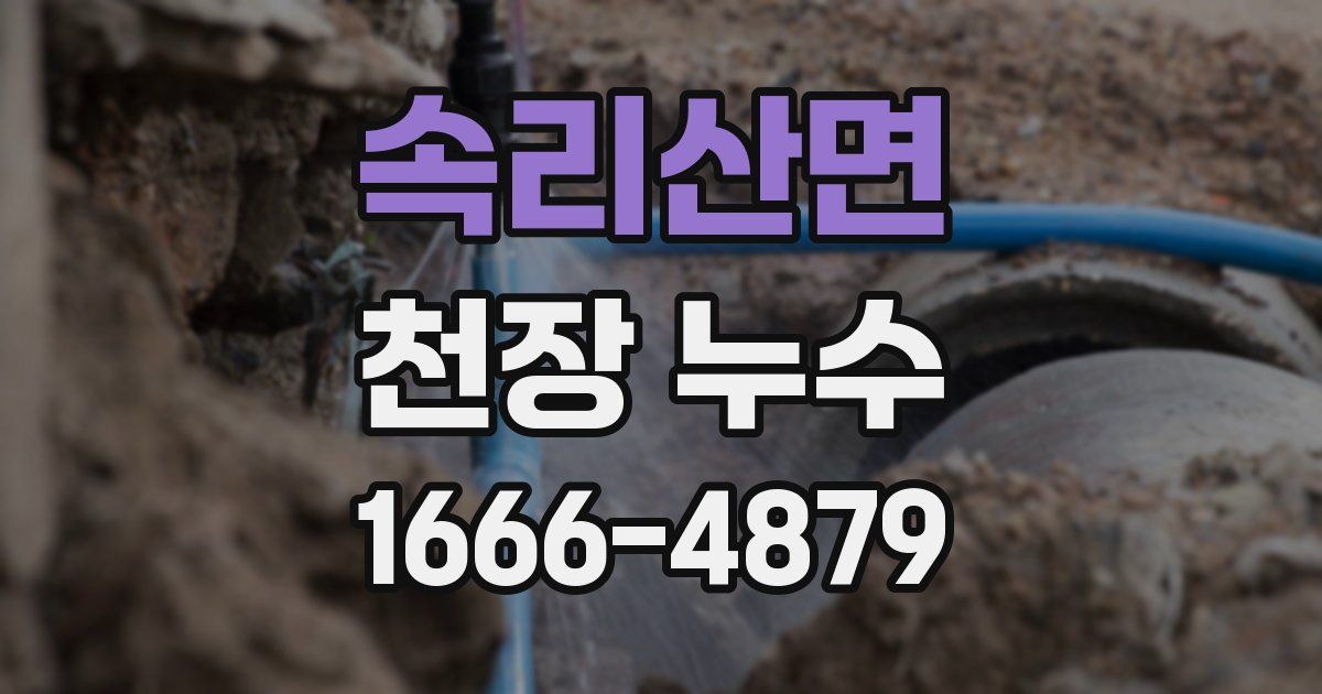 속리산면 천장 누수