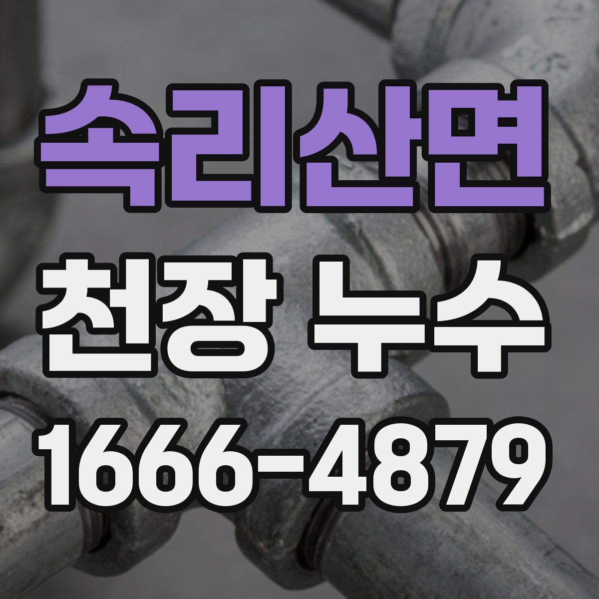 속리산면 천장 누수