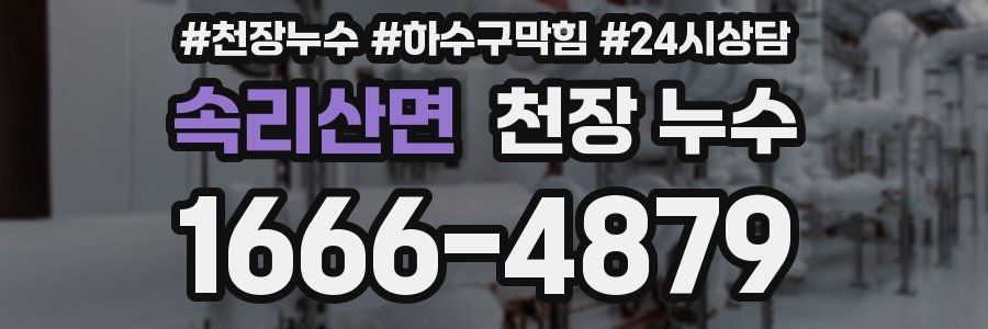 속리산면 천장 누수