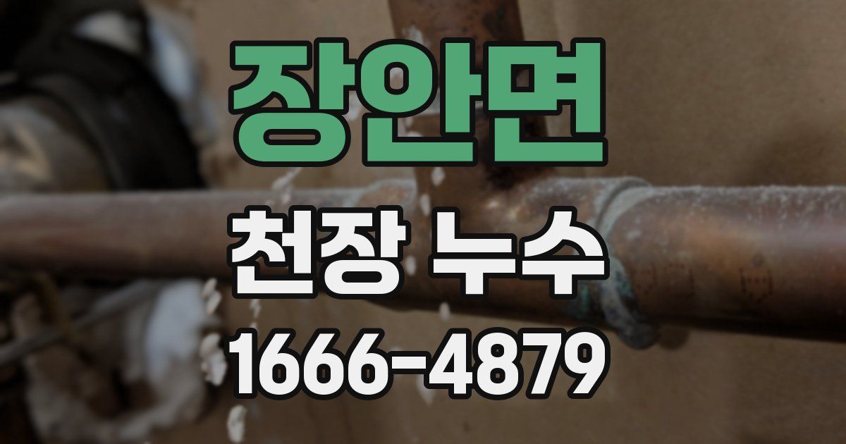 장안면 천장 누수