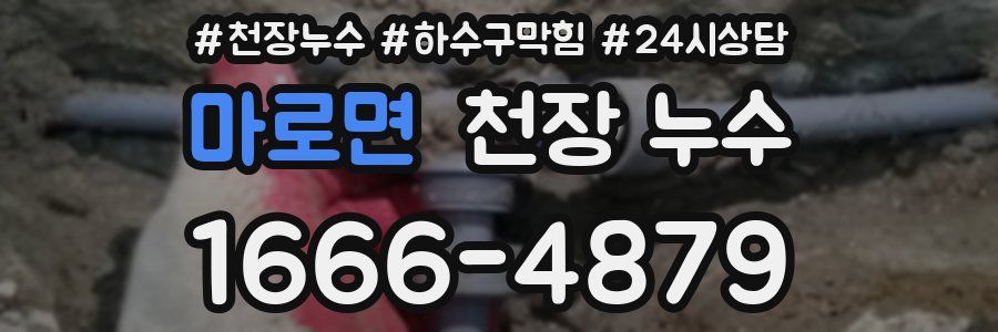 마로면 천장 누수