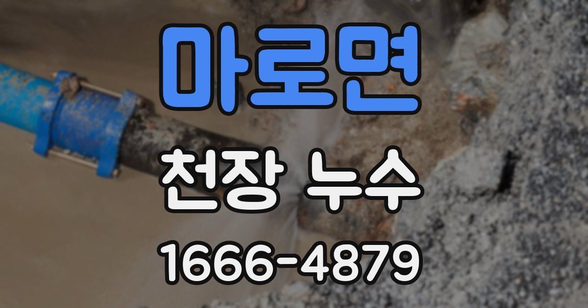 마로면 천장 누수