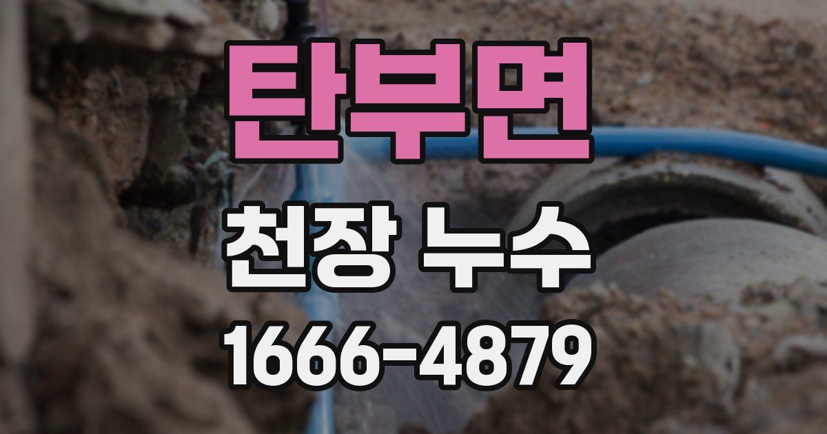 탄부면 천장 누수