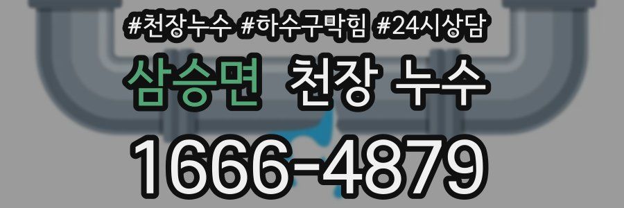 삼승면 천장 누수