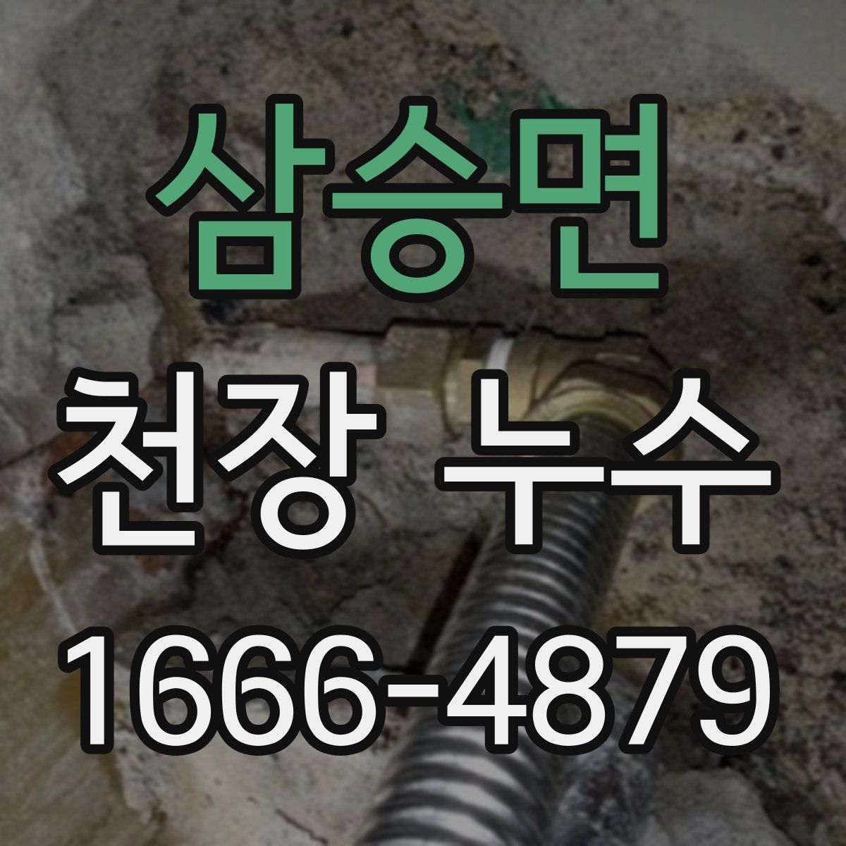 삼승면 천장 누수