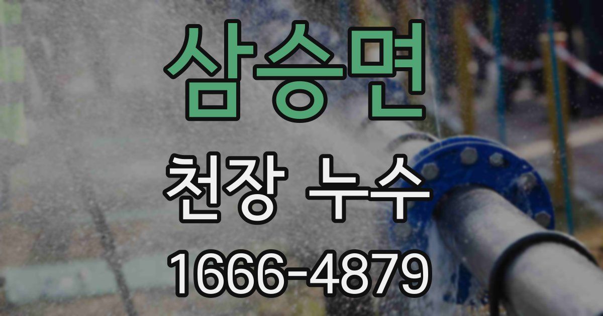 삼승면 천장 누수