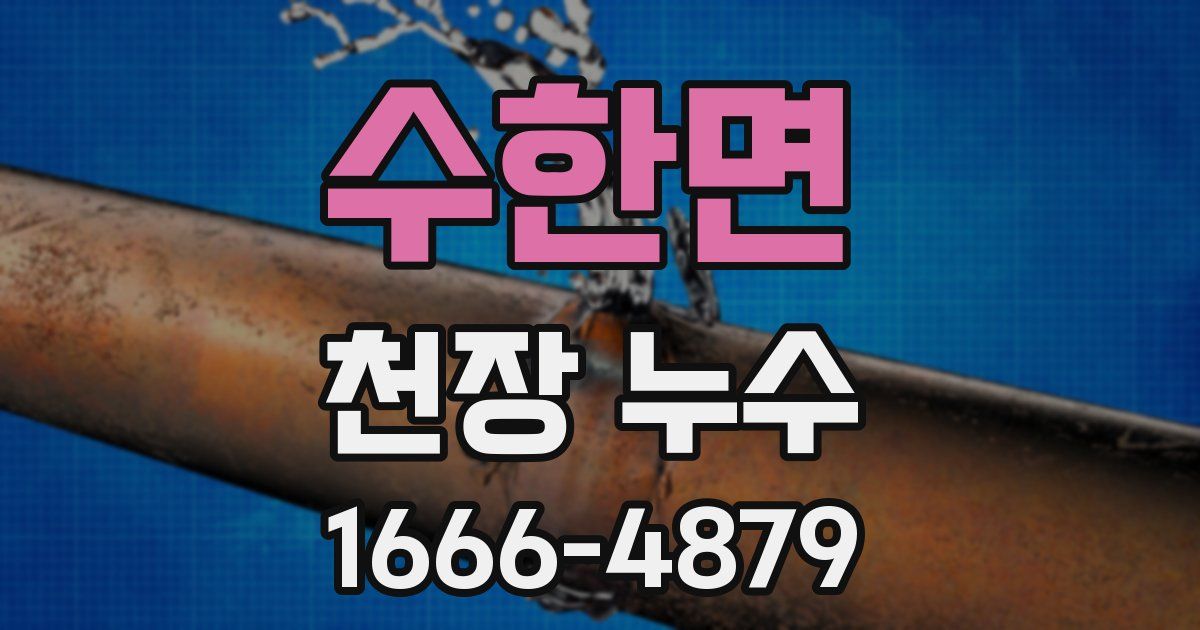 수한면 천장 누수