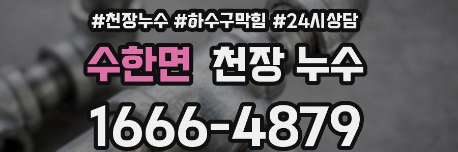 수한면 천장 누수