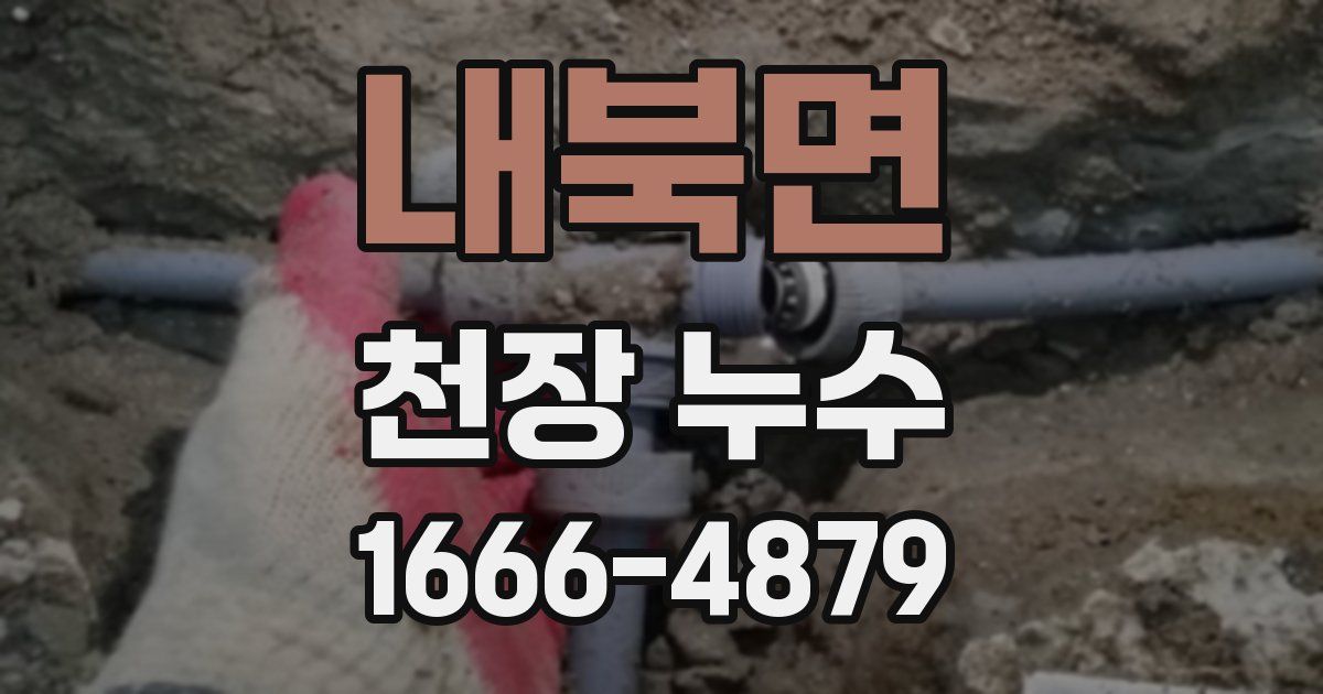 내북면 천장 누수