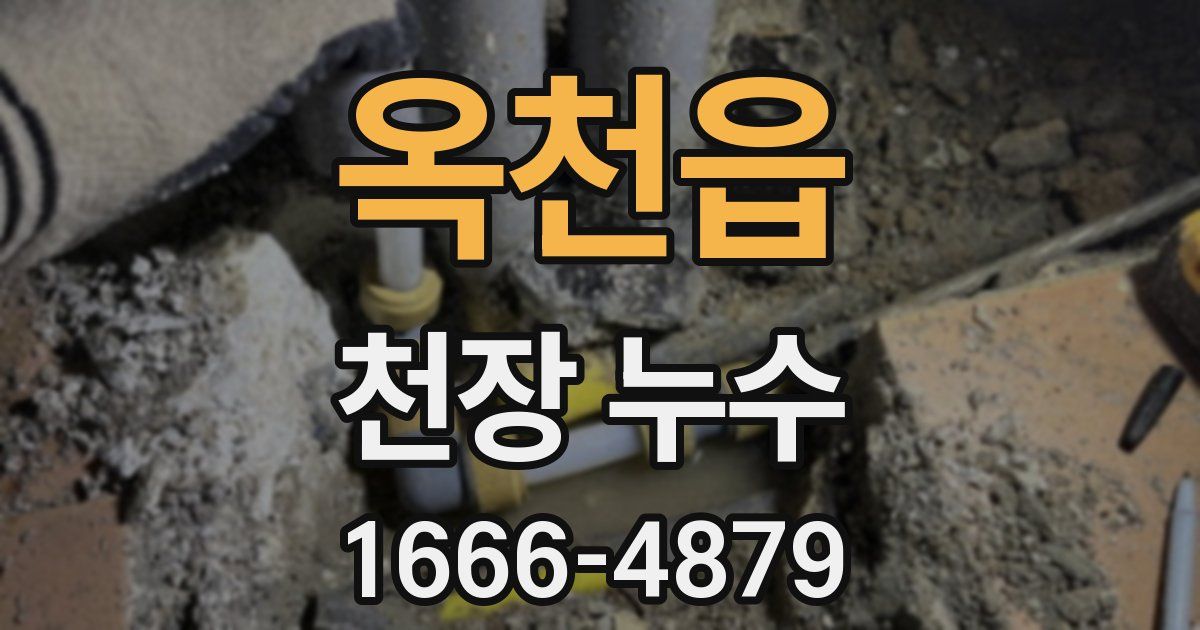 옥천읍 천장 누수