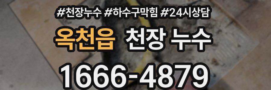 옥천읍 천장 누수