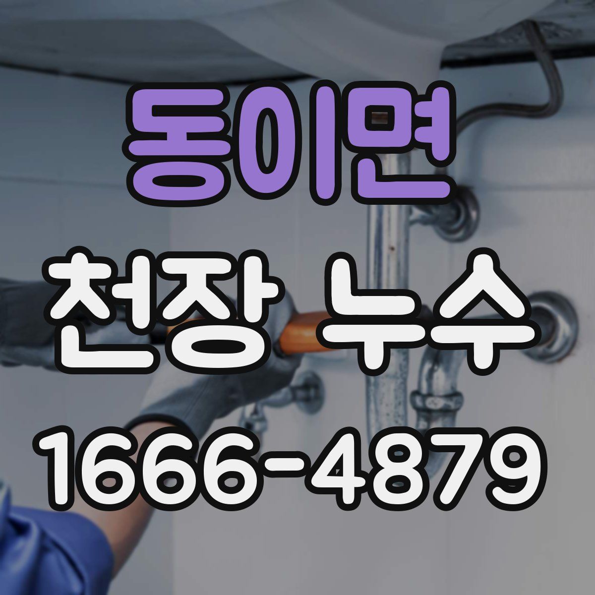 동이면 천장 누수