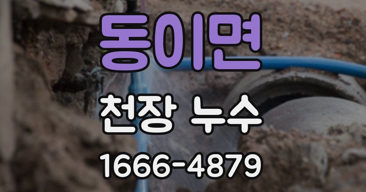 동이면 천장 누수