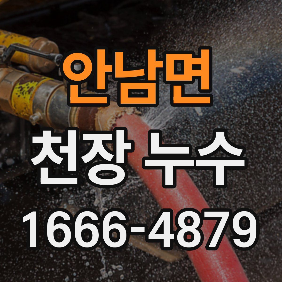 안남면 천장 누수