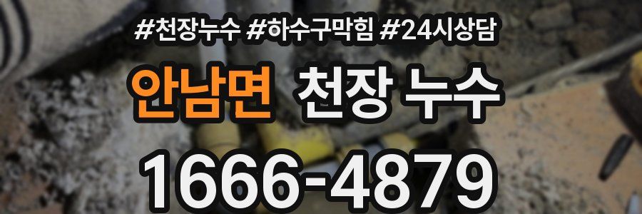 안남면 천장 누수