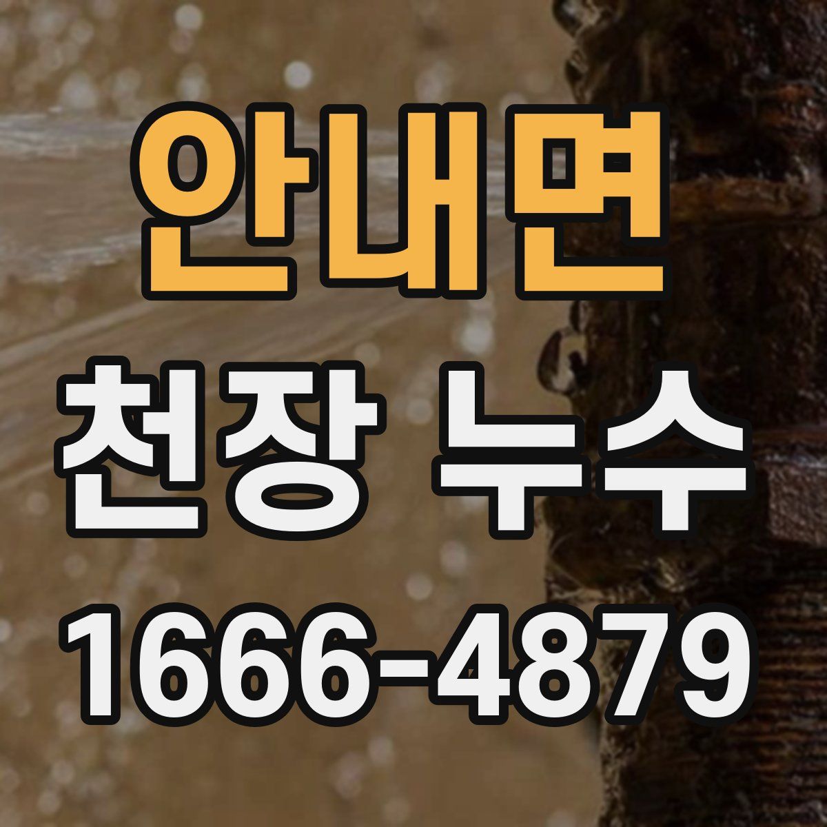 안내면 천장 누수