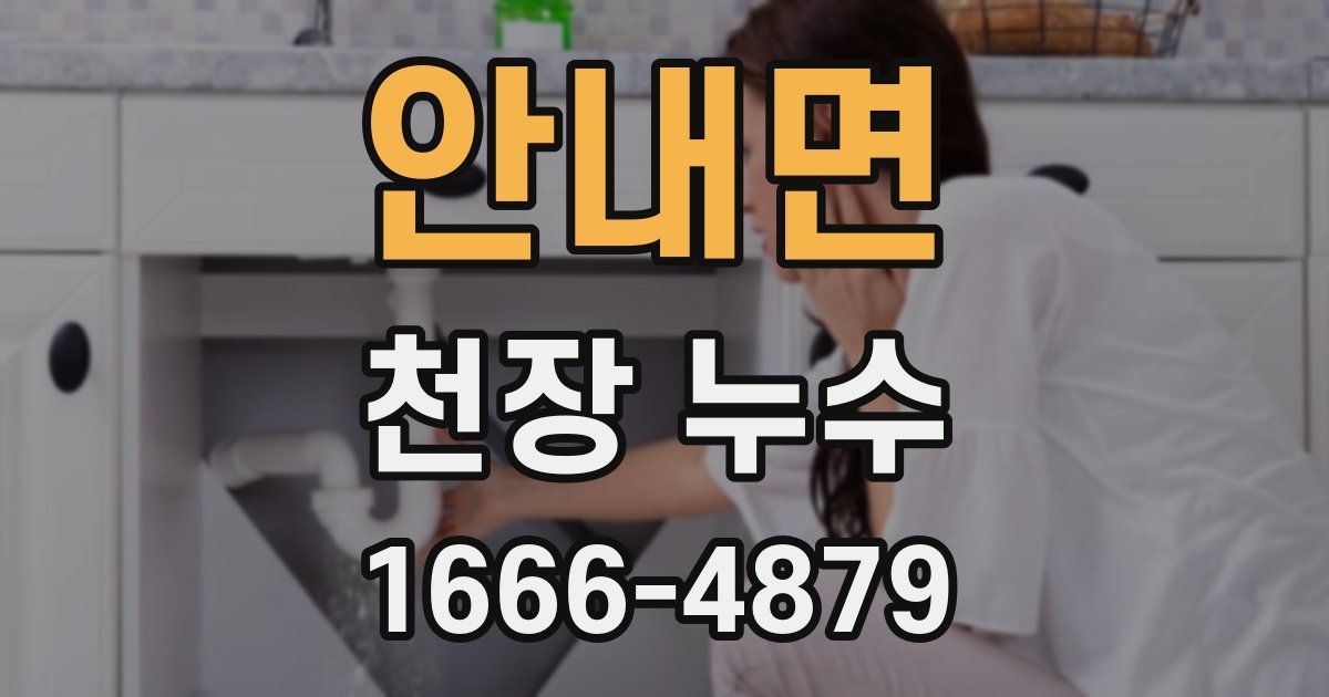 안내면 천장 누수