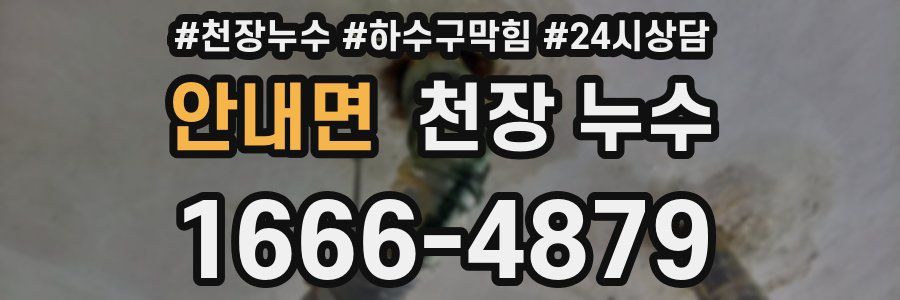 안내면 천장 누수