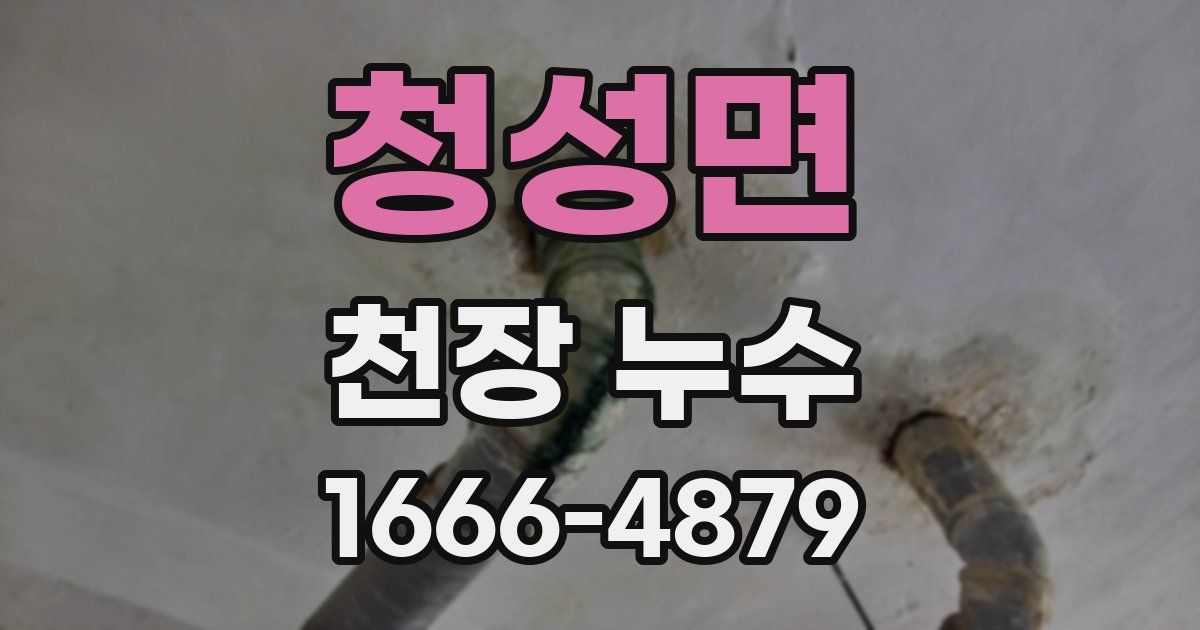 청성면 천장 누수