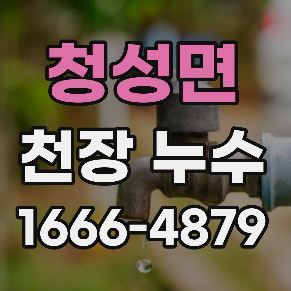 청성면 천장 누수