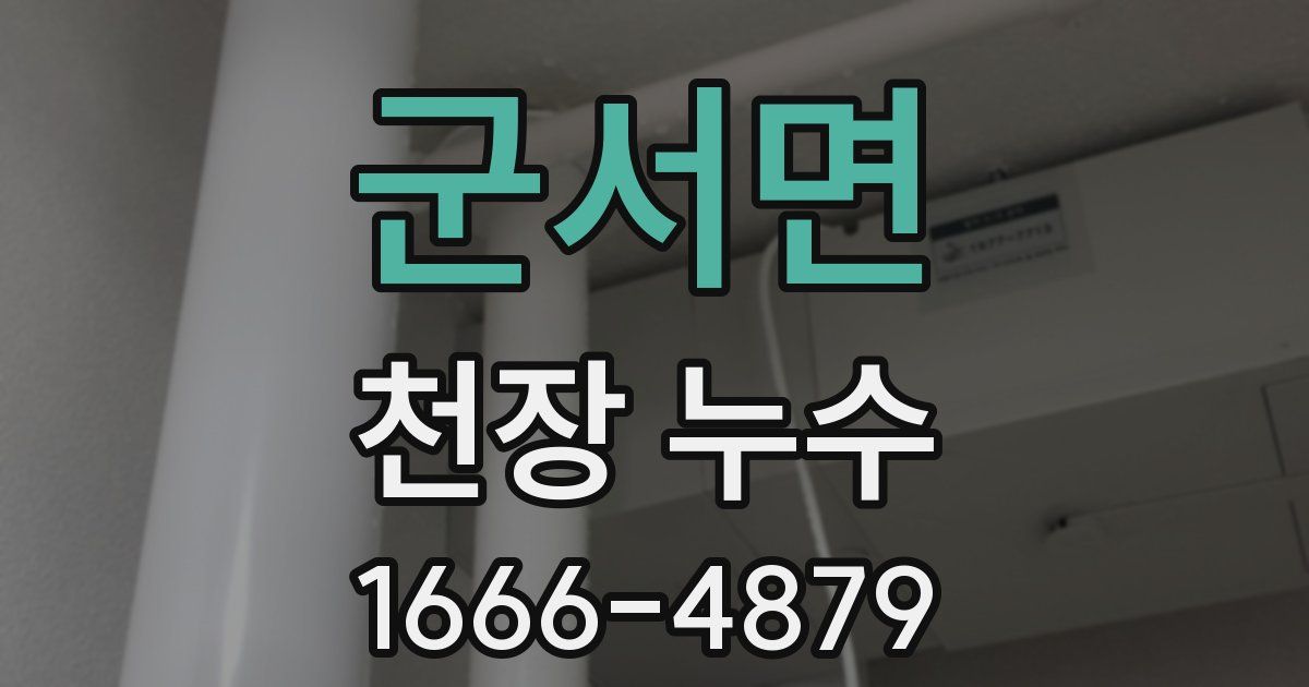 군서면 천장 누수