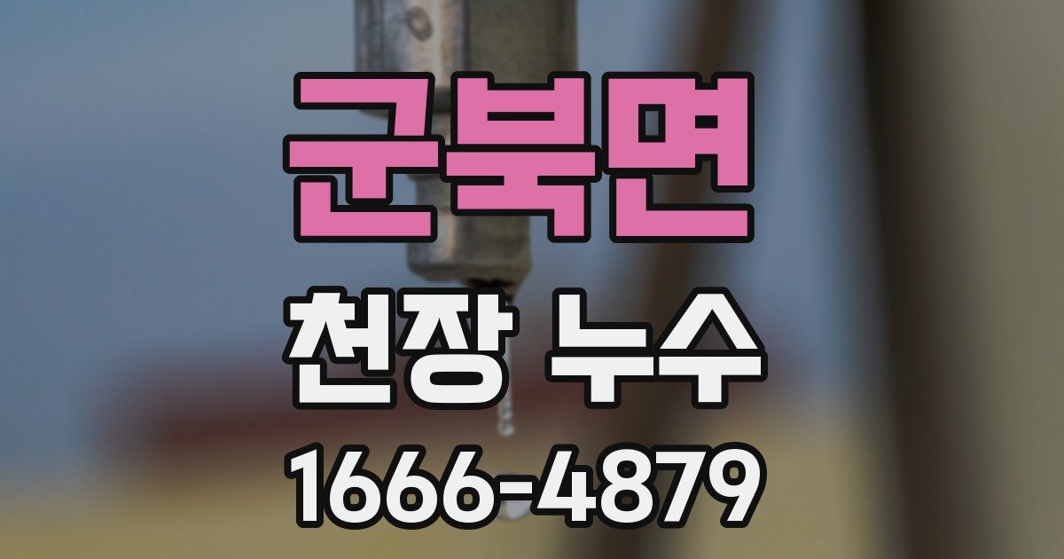 군북면 천장 누수