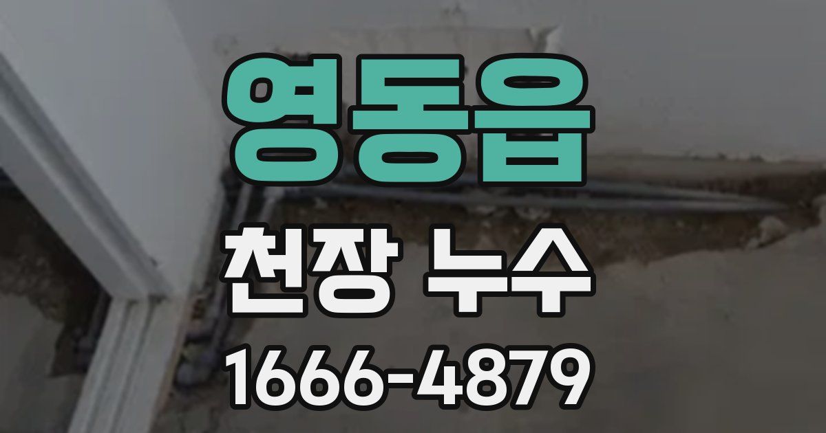 영동읍 천장 누수