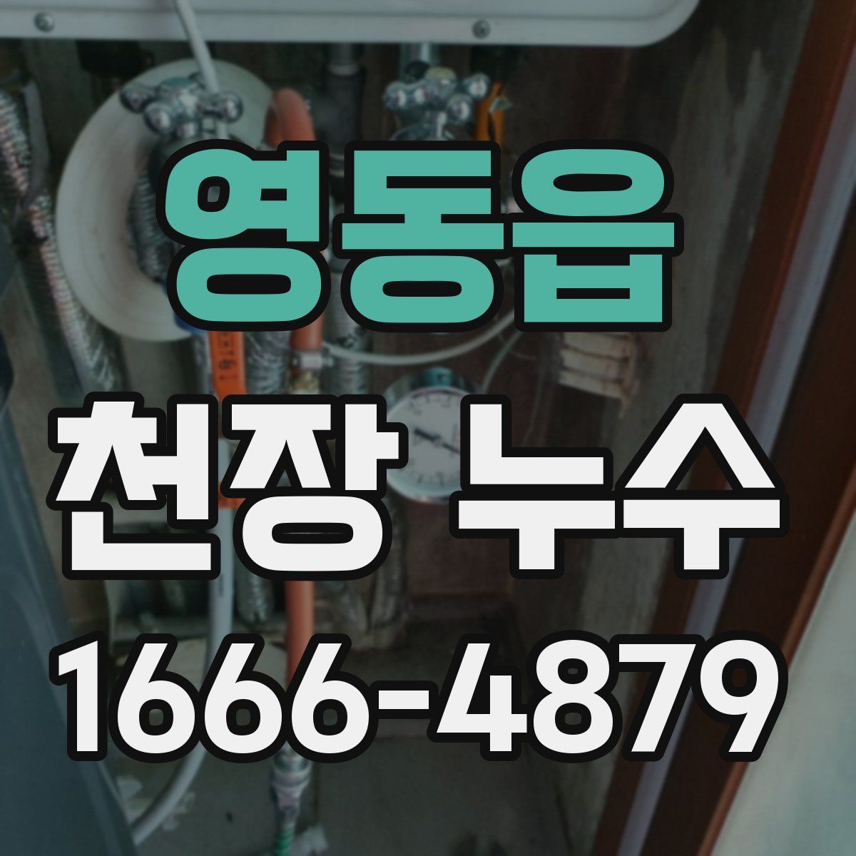 영동읍 천장 누수