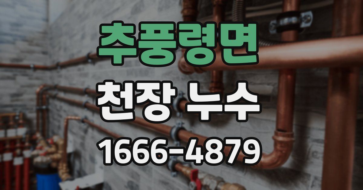 추풍령면 천장 누수