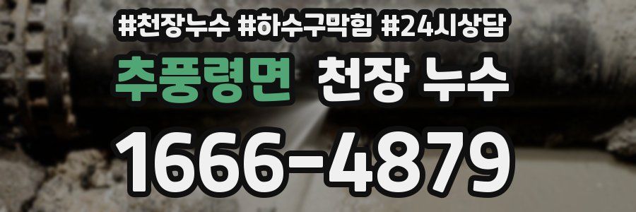 추풍령면 천장 누수