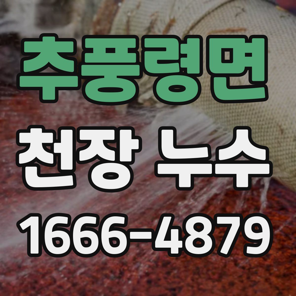 추풍령면 천장 누수