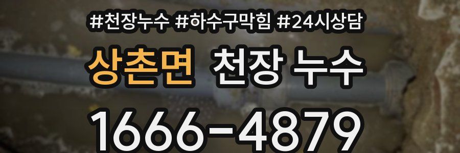 상촌면 천장 누수