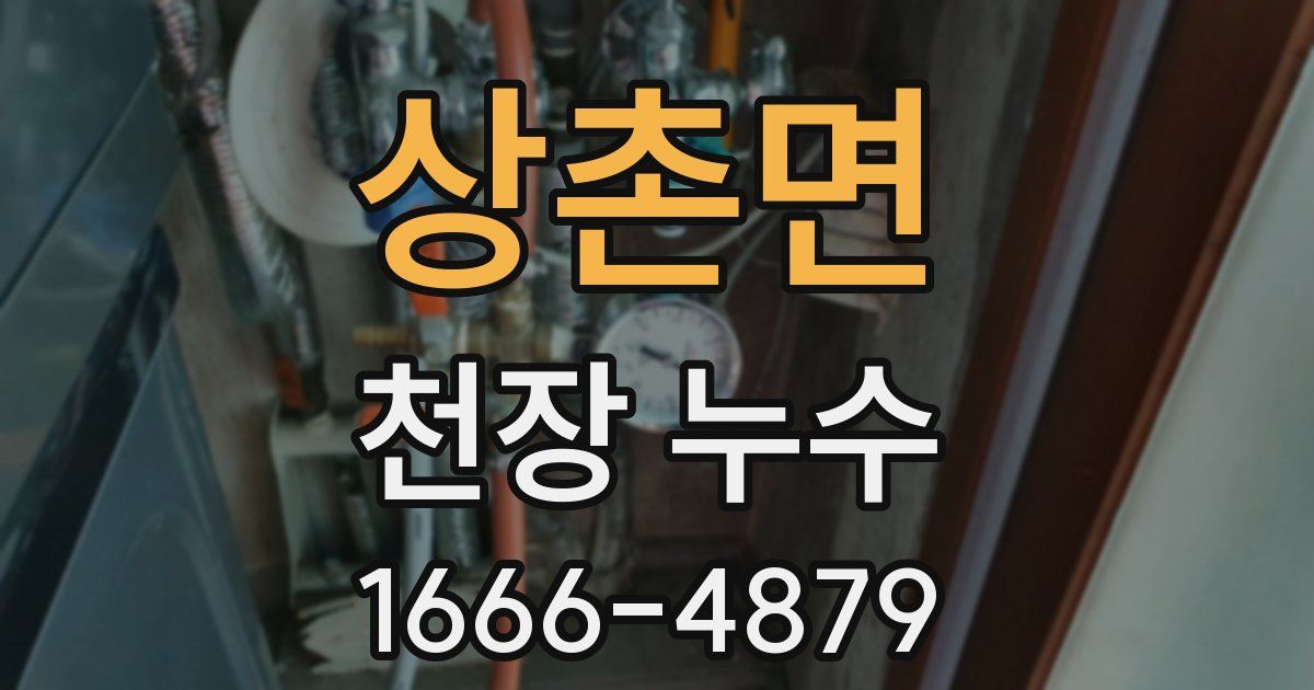 상촌면 천장 누수