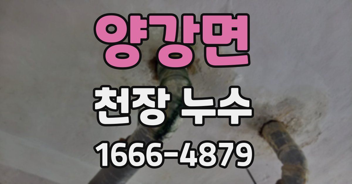 양강면 천장 누수